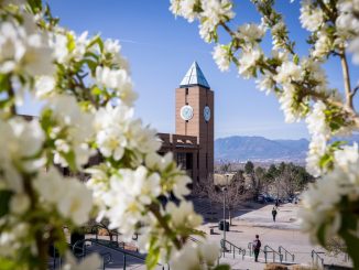 Campus with tree blossoms in front.
